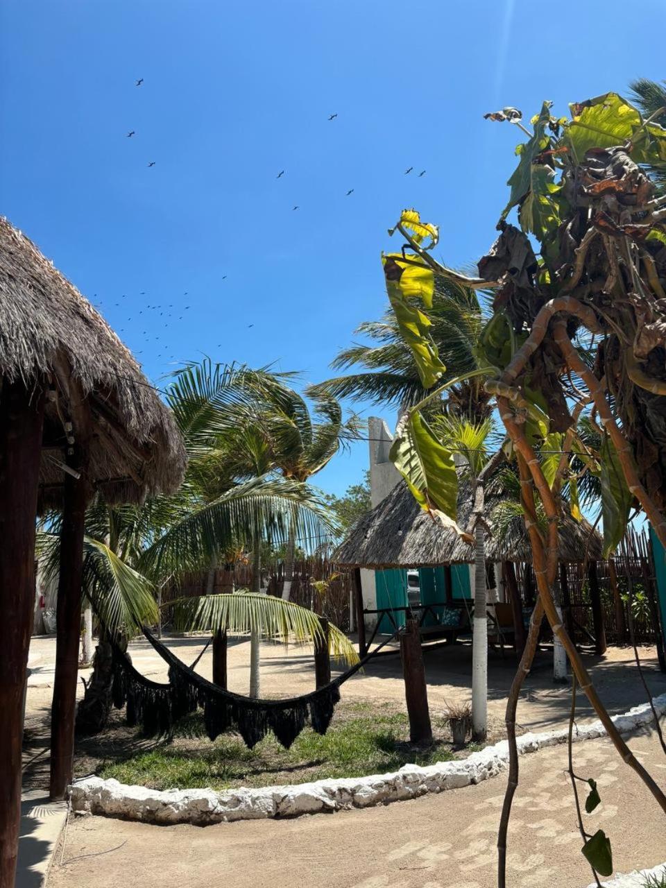 Mayan Mittoz Isla Holbox Exterior photo